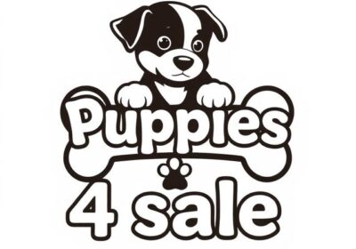 puppies4sale.org-order-on-monday-11th-august-2025-112820-pm-79f2165f-4ef6-489a-9d6d-7c57bda5b02f