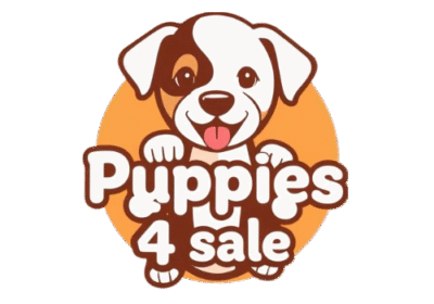 puppies4sale.org-order-on-monday-11th-august-2025-112820-pm-zzzzzzae-fotor-bg-remover-20250525193258-fotor-bg-remover-2025062192545