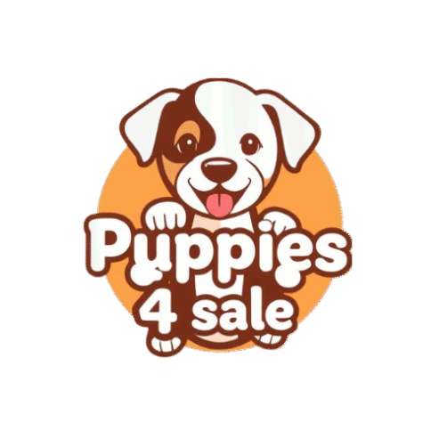 Wirehaired Pointing Griffon Puppy For Sale In Macon Georgia